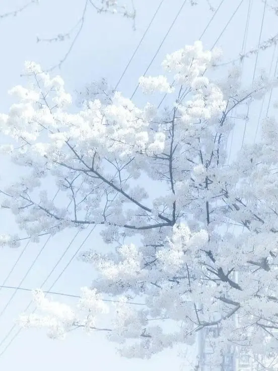 satoru127의 神の子