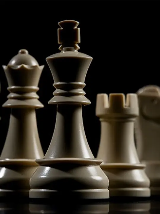 StableBus9187의 Harem chess