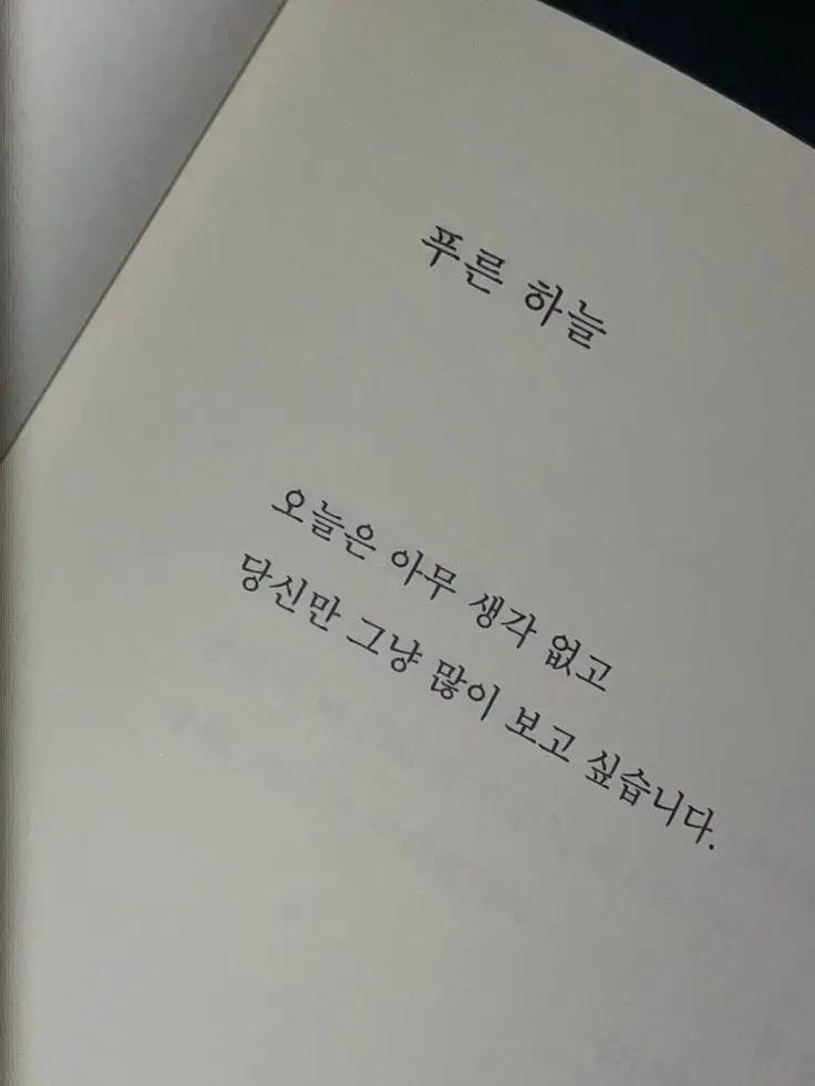 RobustPlant5674의 " 달이 예쁘다고 말해줘 "