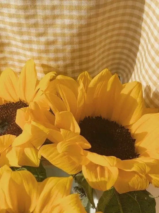 Kanae_074의 伏見ガク