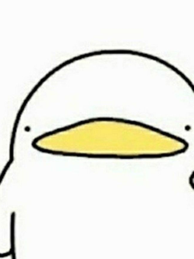 게고 돔섭버스 대표 이미지