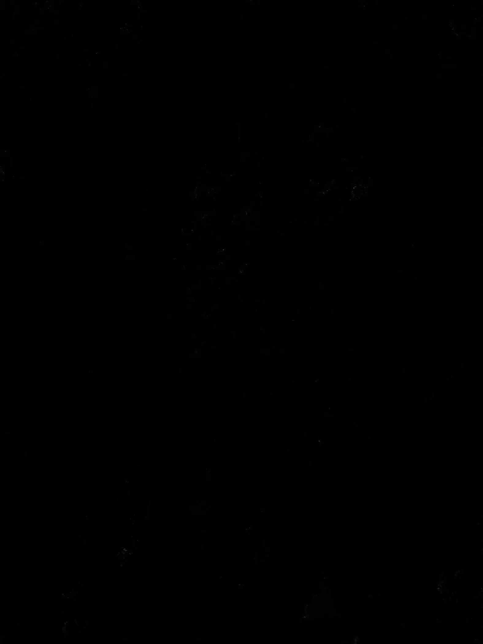 S1n_wal의 이동현