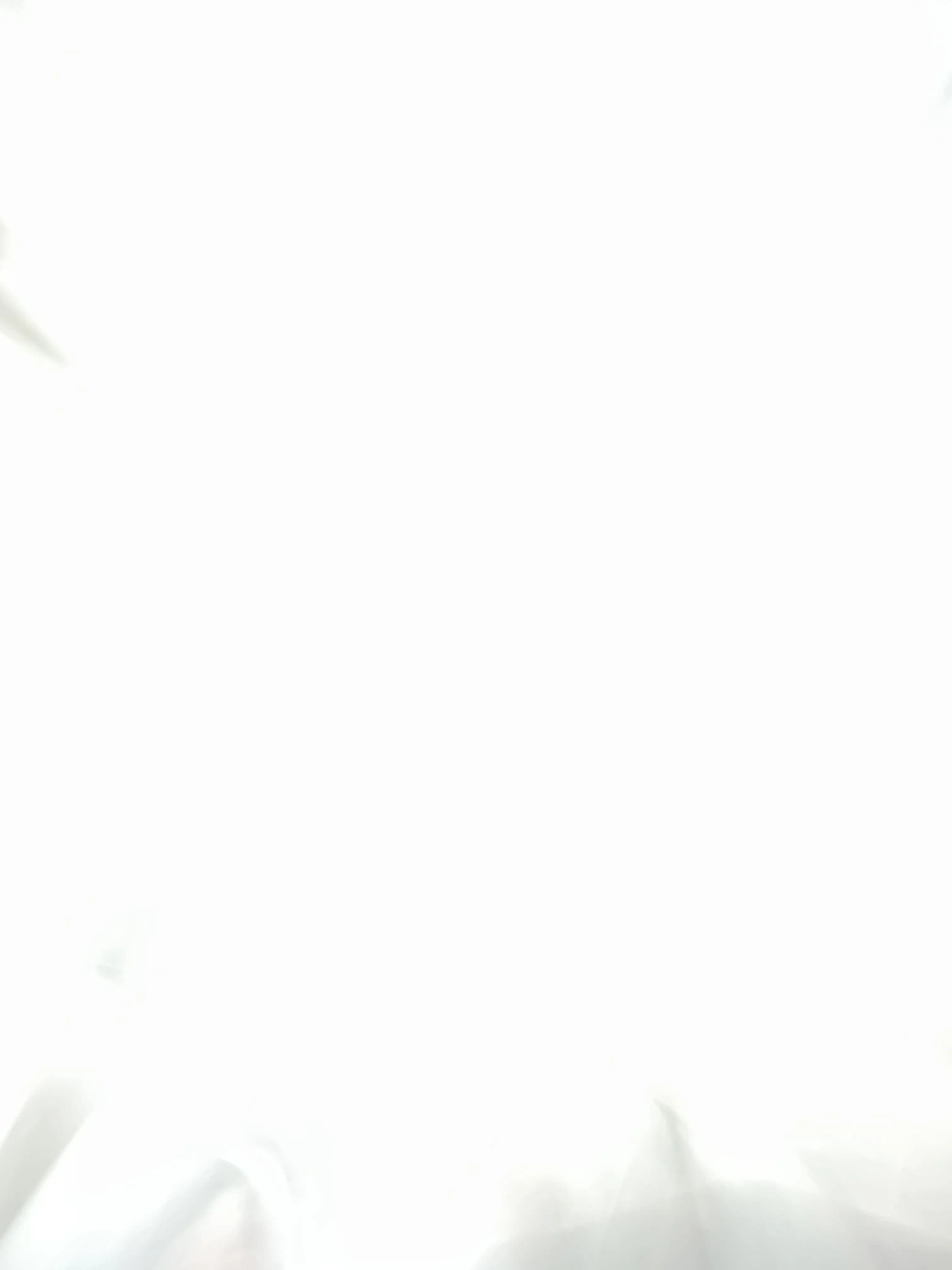 DearRisk5591의 장기연습생즈들