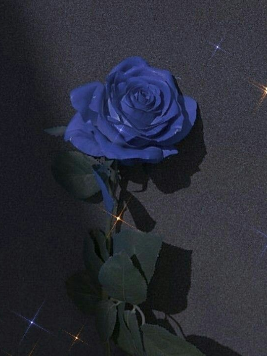 #1 행크의 여사친이면 생기는 일 대표 이미지