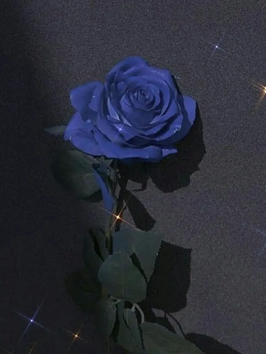 Paradiseforever-hank2004의 #1 행크의 여사친이면 생기는 일