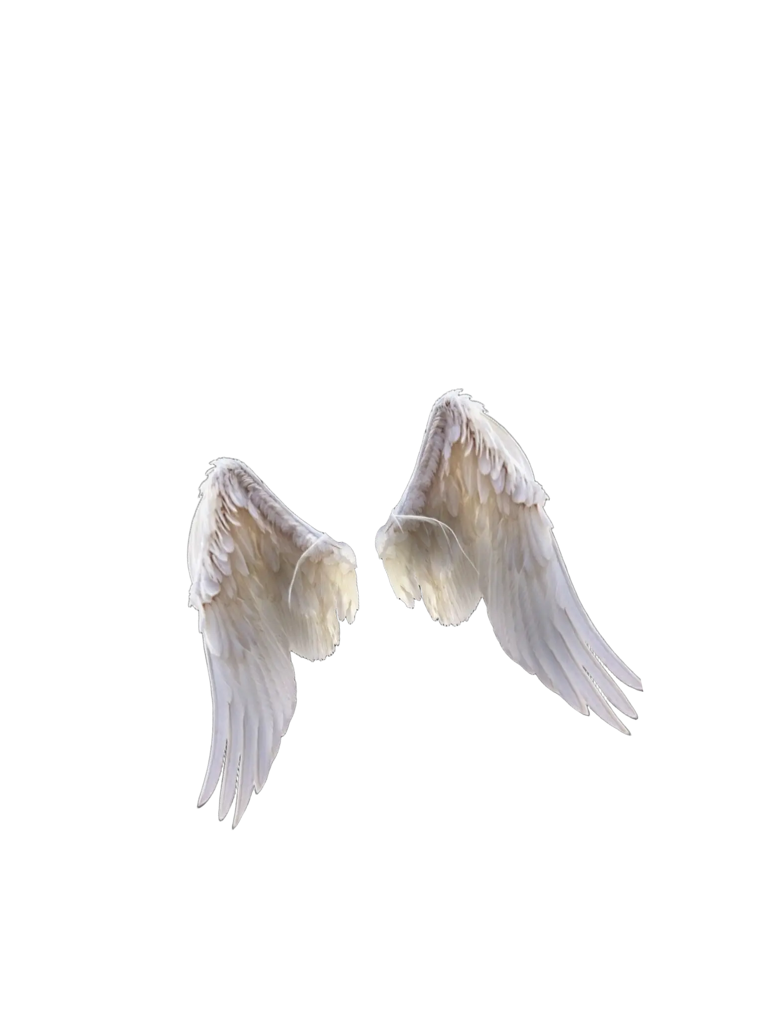 Kimdokja0803의 Strange Angels on the Back Mountain