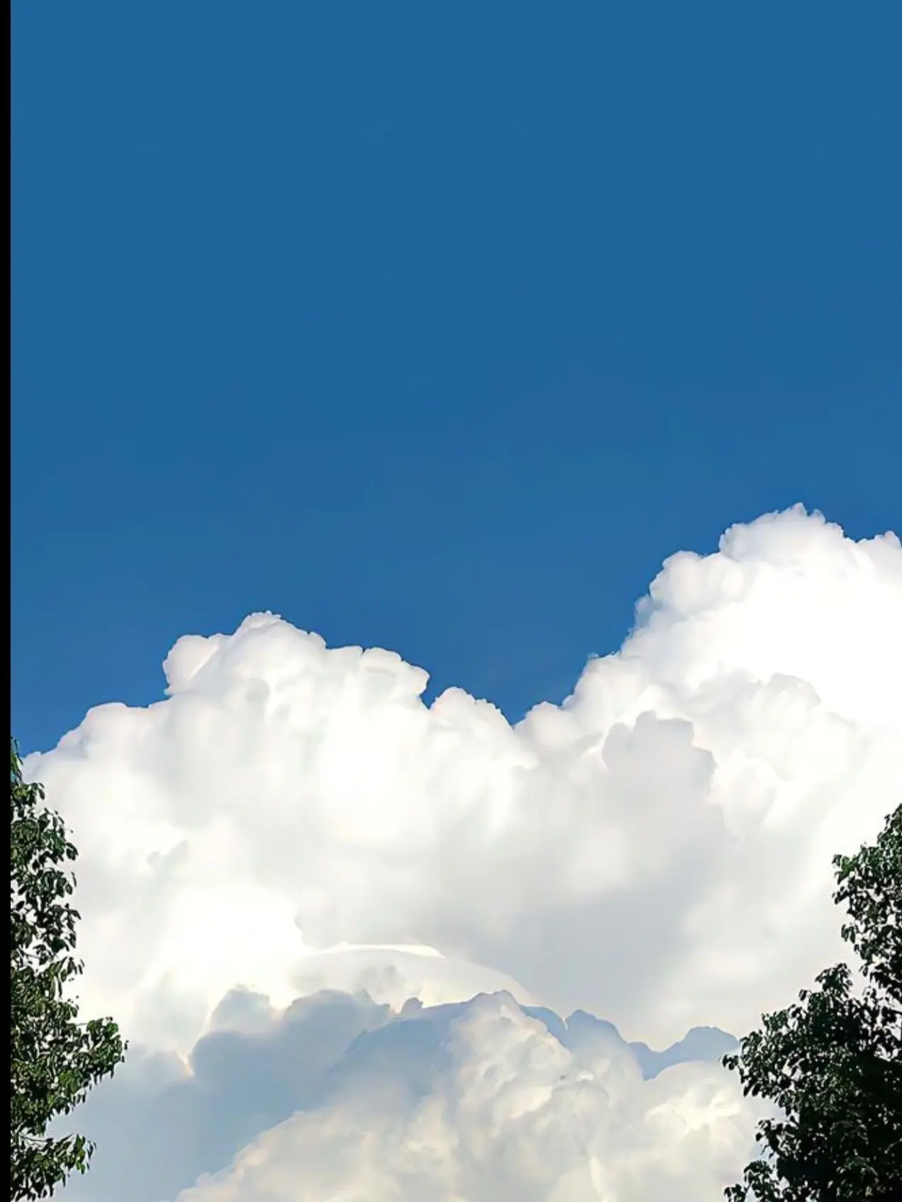 K-pop_history의 하츠투하츠 매니저