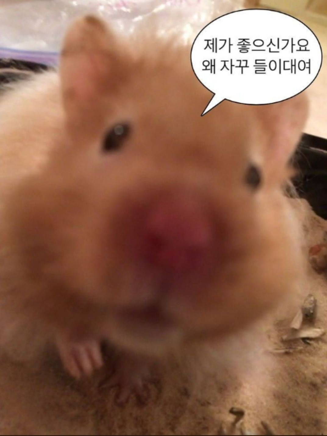 안녕?포세이큰 학교에 온 걸 환영해! 대표 이미지
