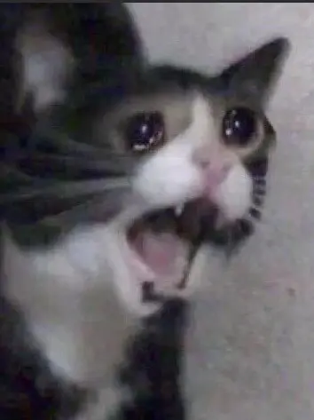 CrazyDam2689의 원피스 학교