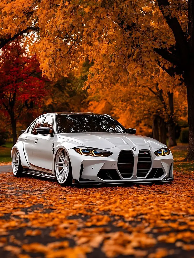 LargeHawk8072의 자유