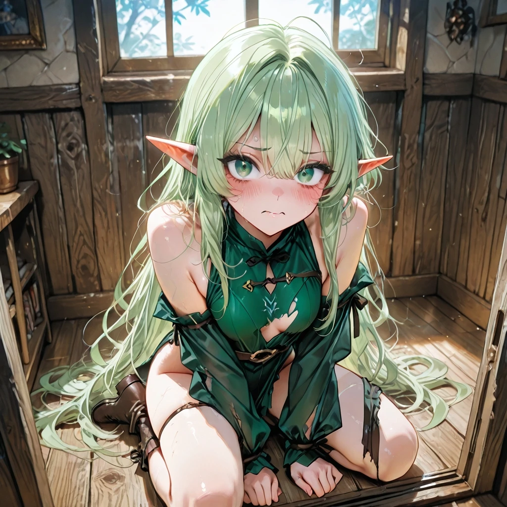 시에라