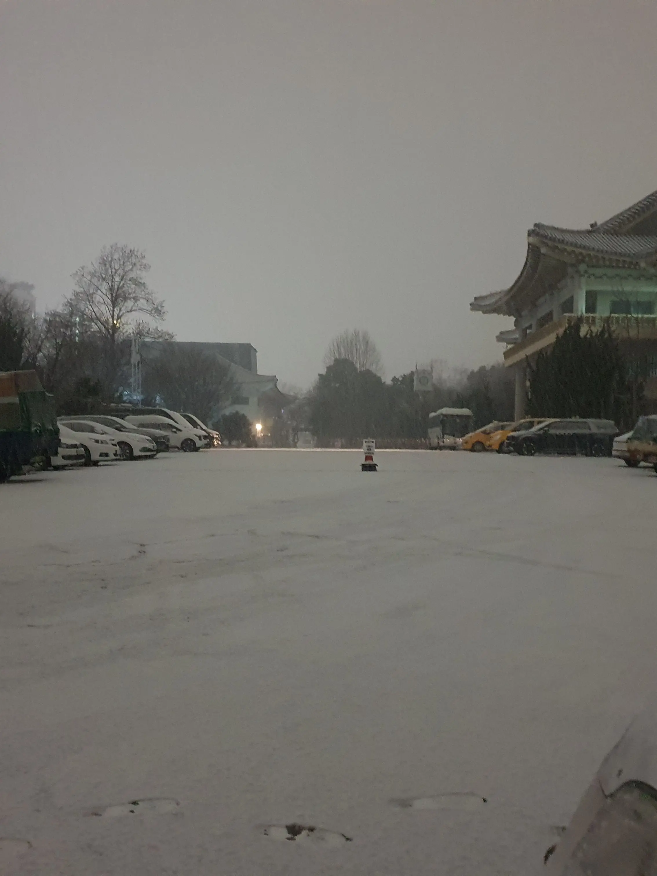 KaitoKuroba_4689의 신수 요정즈