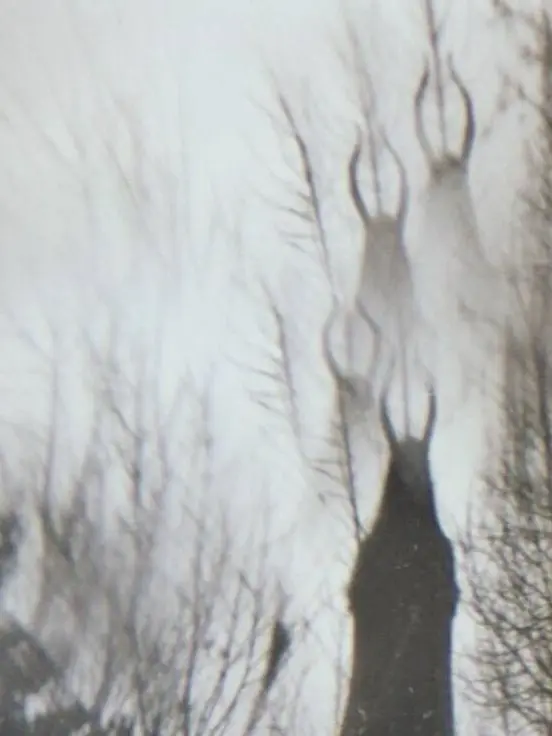 StumpyDisk4019의 𝕬𝖓𝖌𝖊𝖑𝖘