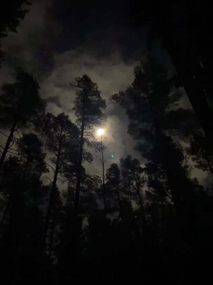 luv.lee_822508의 Dark Wonderland