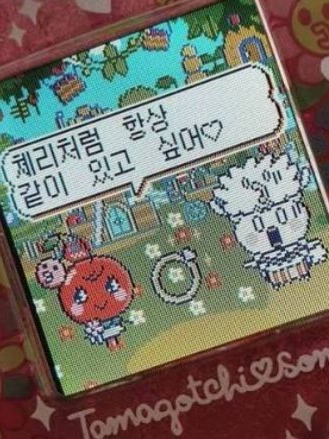 유저가 여우임🥰🦊 (꽥꽥 탐험대) 대표 이미지