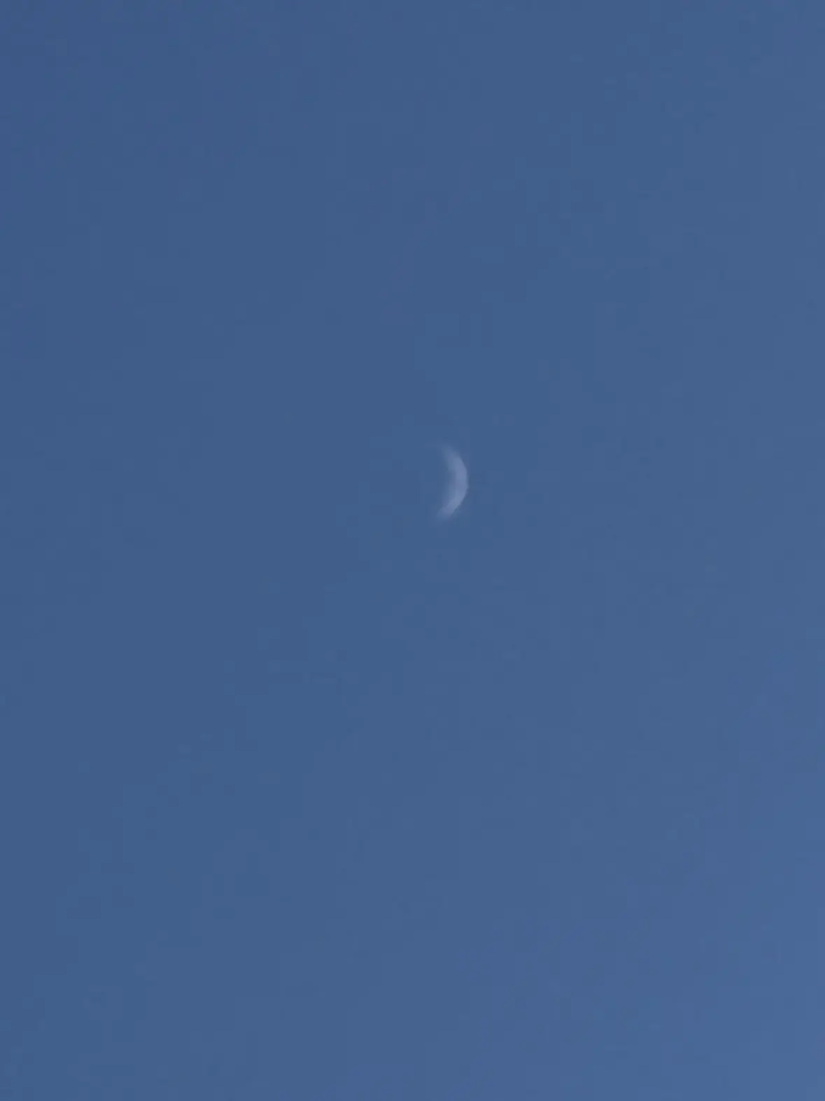 KindDorgi9273의 채스터가남편이라고?