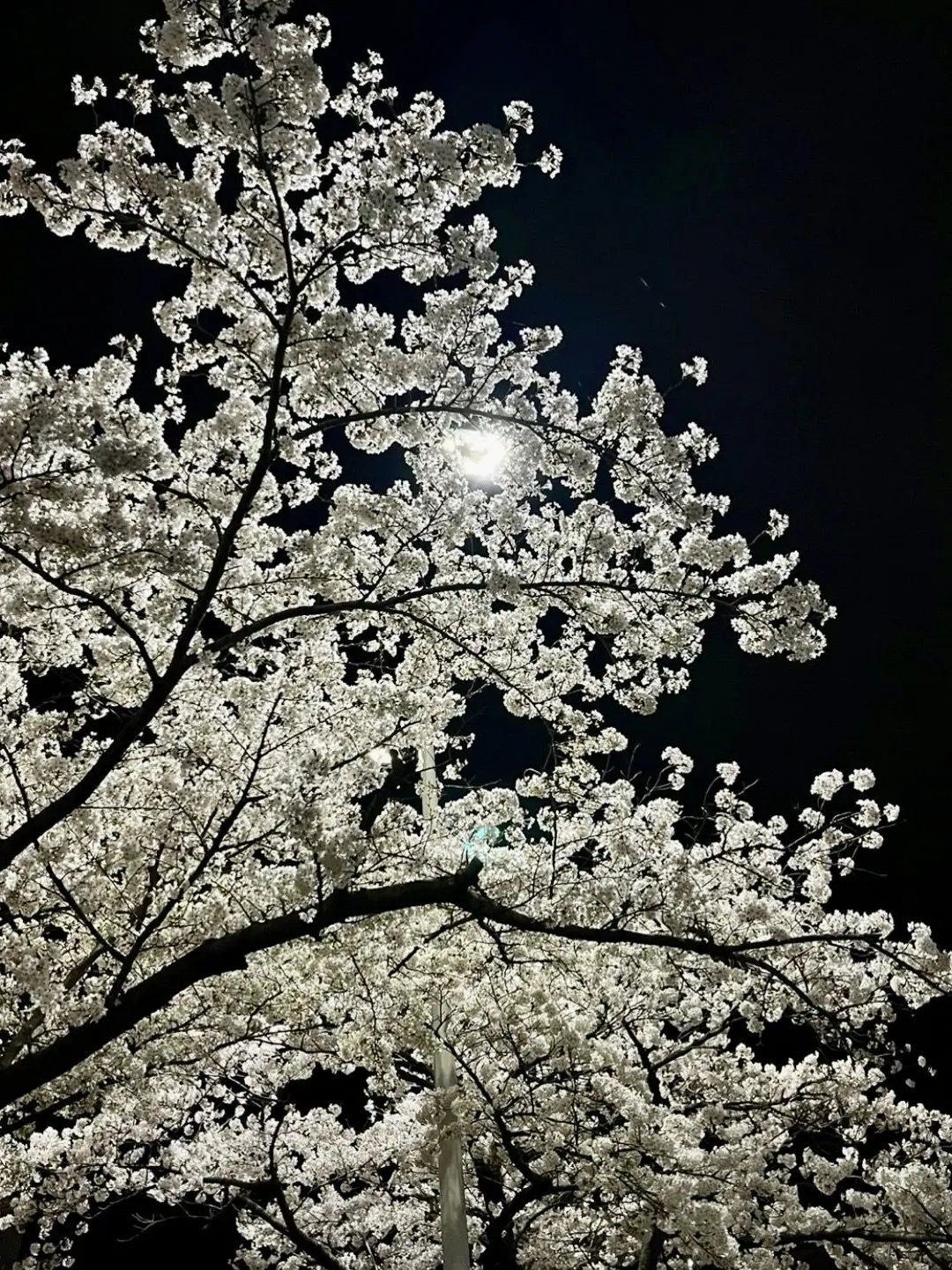 IAN_.의 백령담 교도소