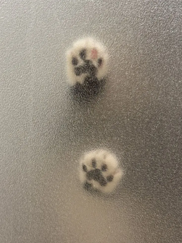 ahuuuuka191의 ねこかわいがり