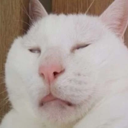 딸기라떼
