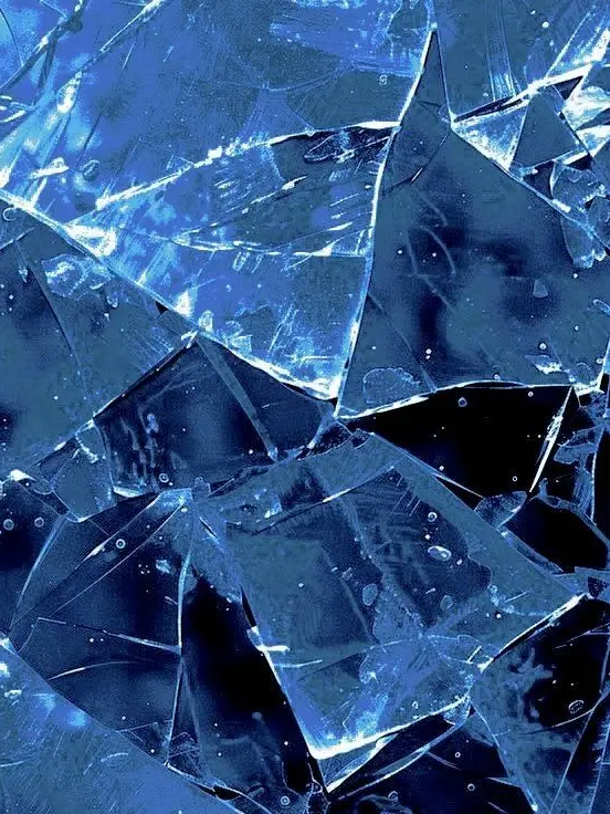 ItchyCamel3363의 스토커