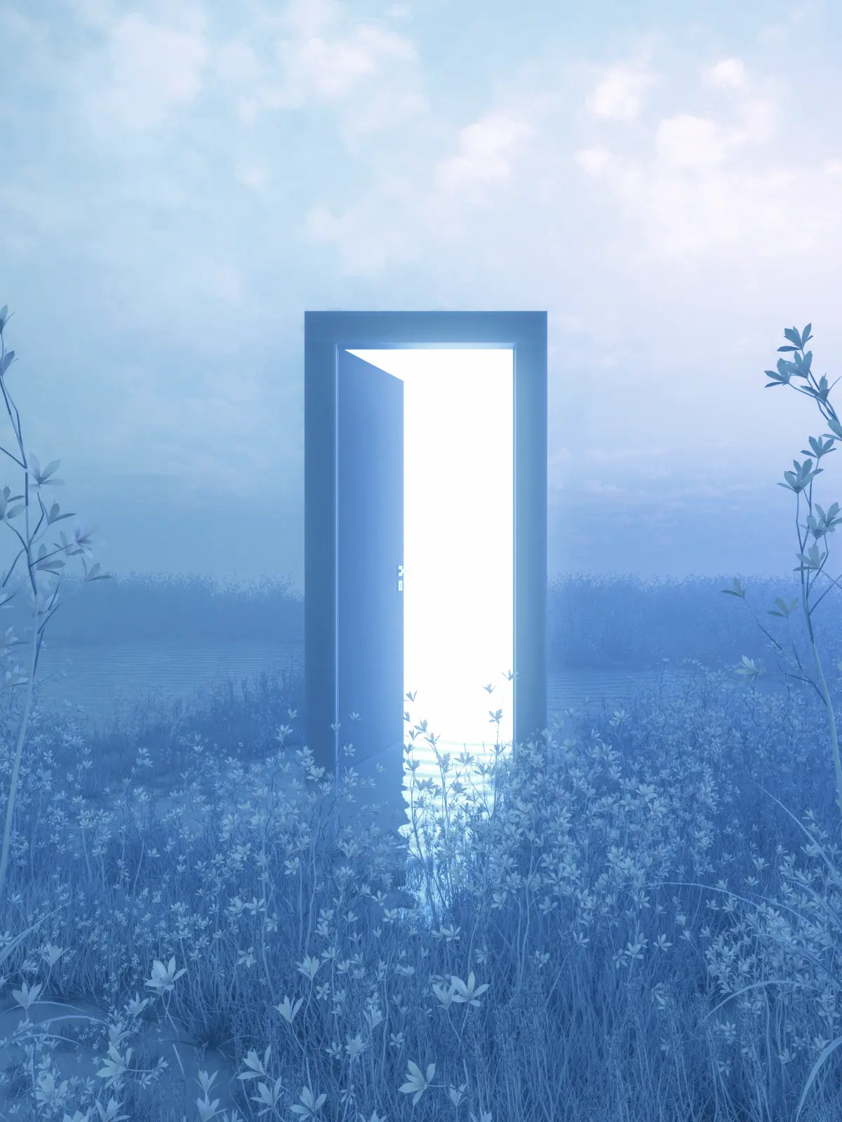 FlakyCap0284의 カラヒュとドリームコア5