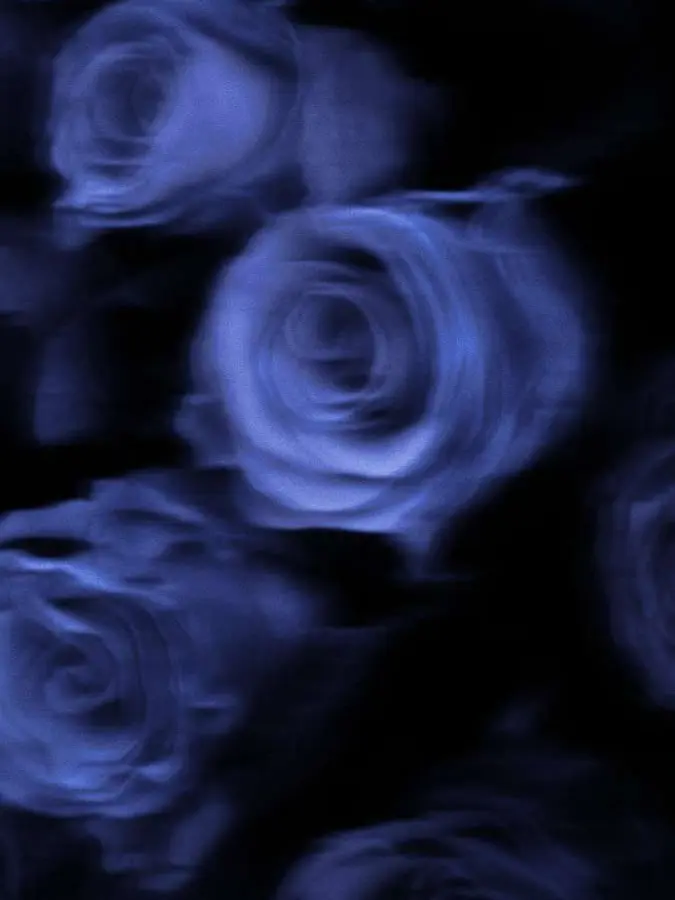 melancholy11의 ¿?¿