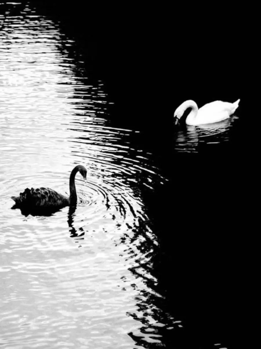 cxke.re의 杨悠然