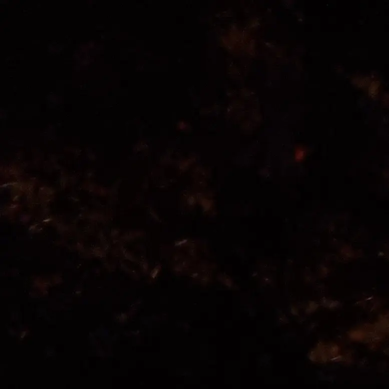 Kwdgi의 회의를 해볼까。