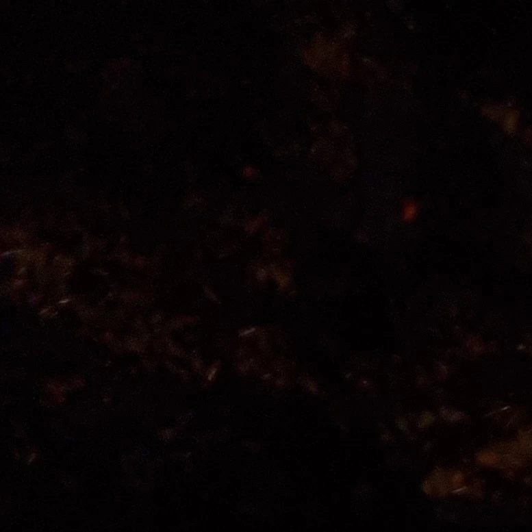 회의를 해볼까。