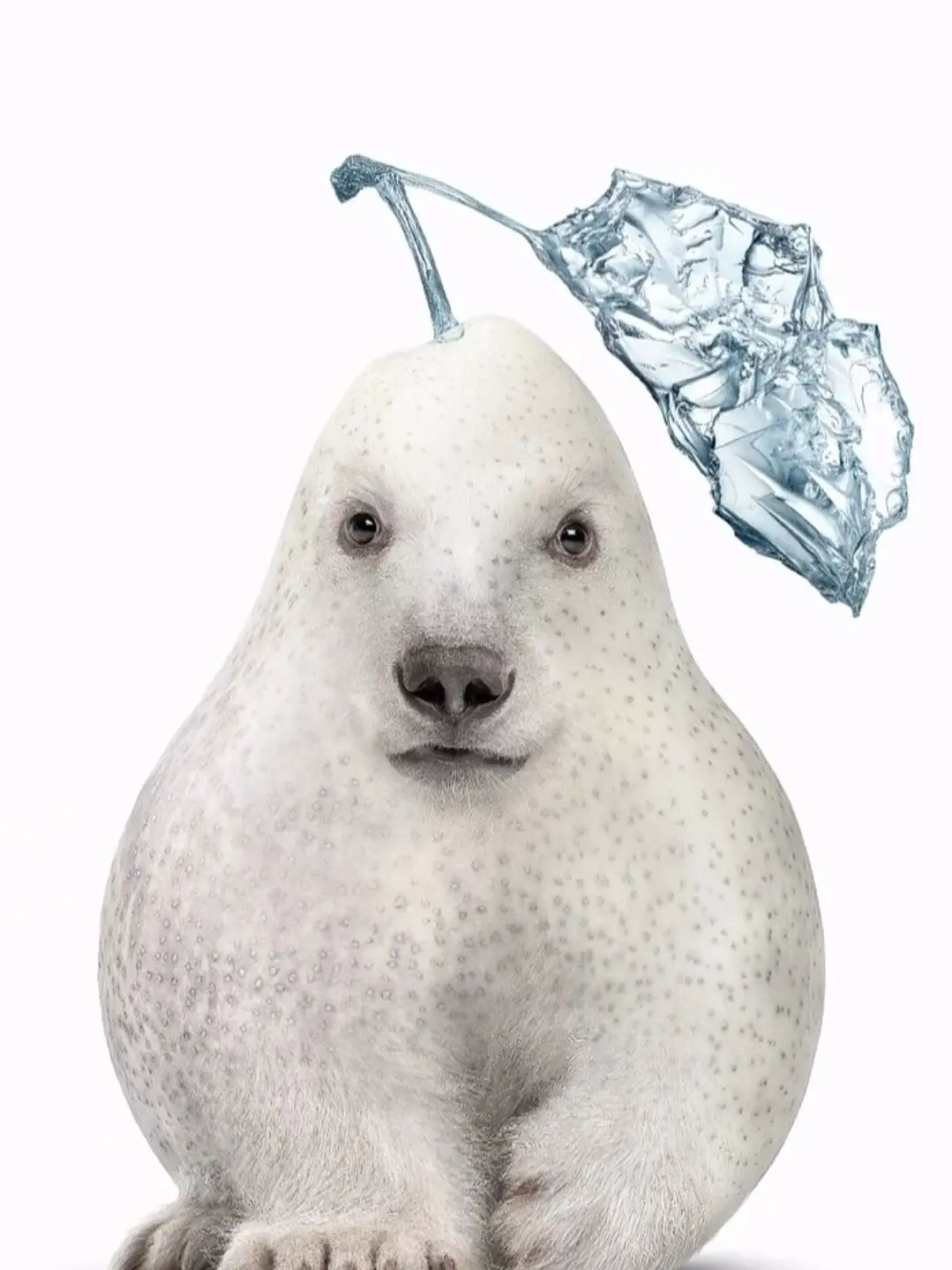 Sealman의 Seal stories