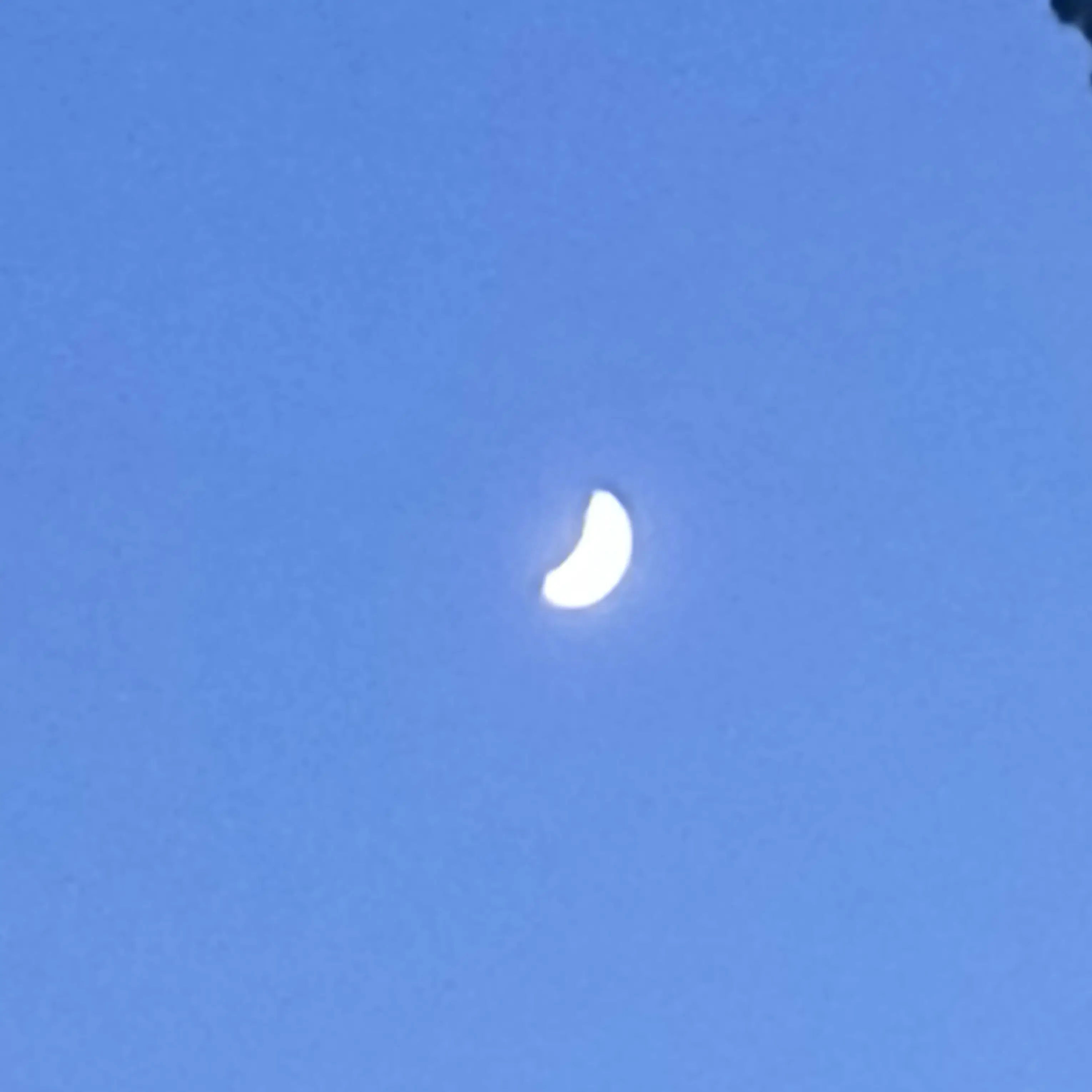 SaltySalt4687의 픽셀리와 동거