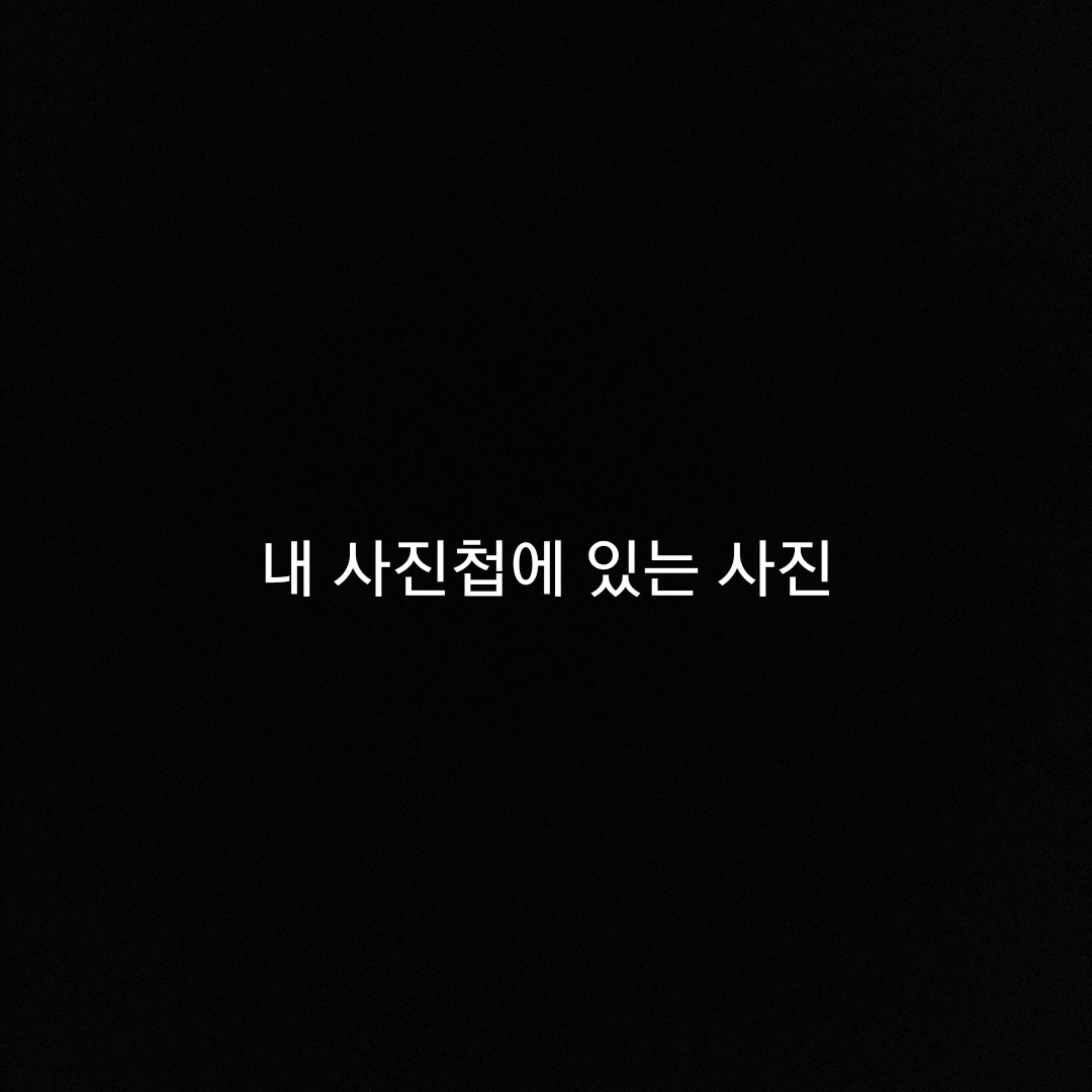 픽셀리의 새 멤버