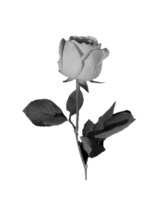 EggyBeads5294의 斉藤壮馬