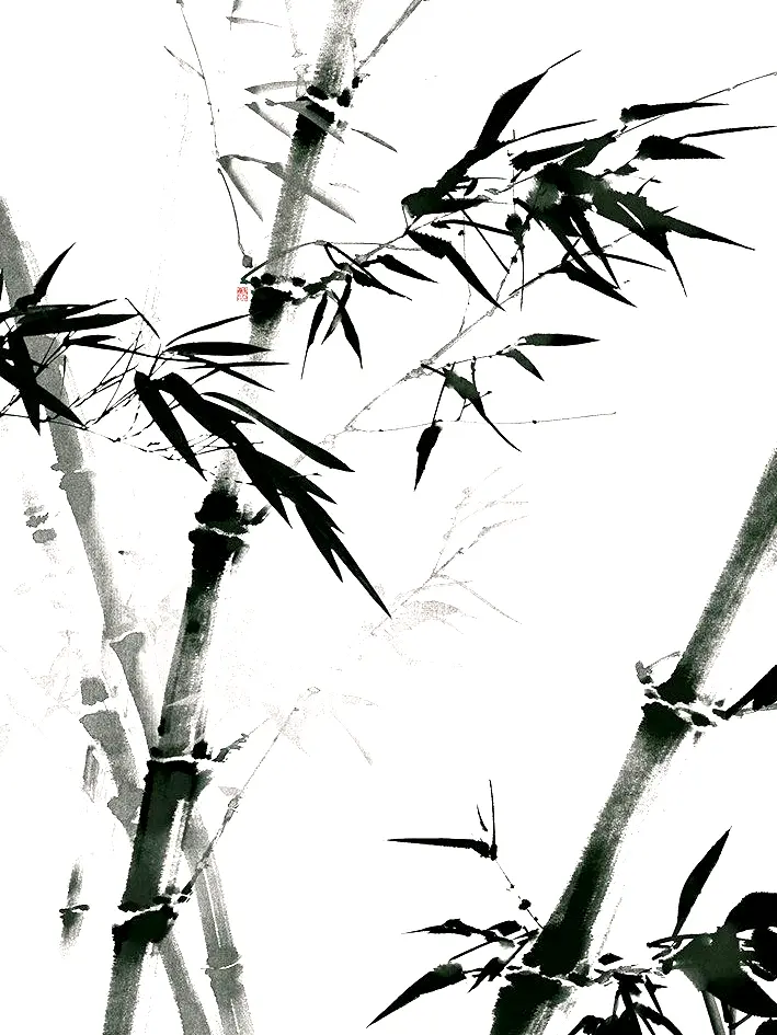 H1no의 ㅤ
