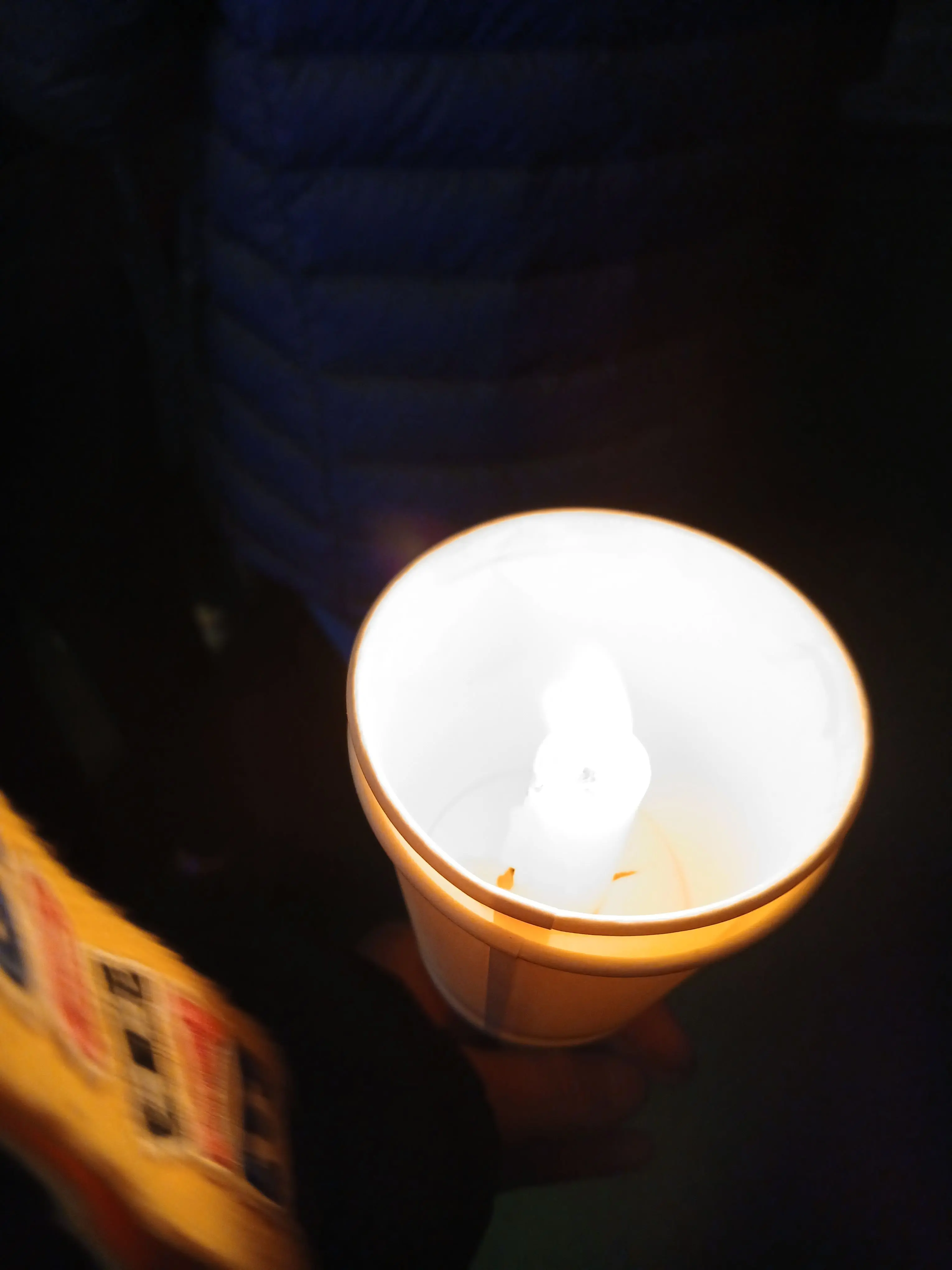 Dream_Garden의 크리스마스미수반