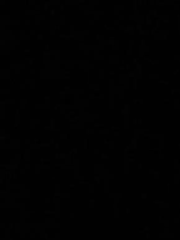 hz1n_x의 -
