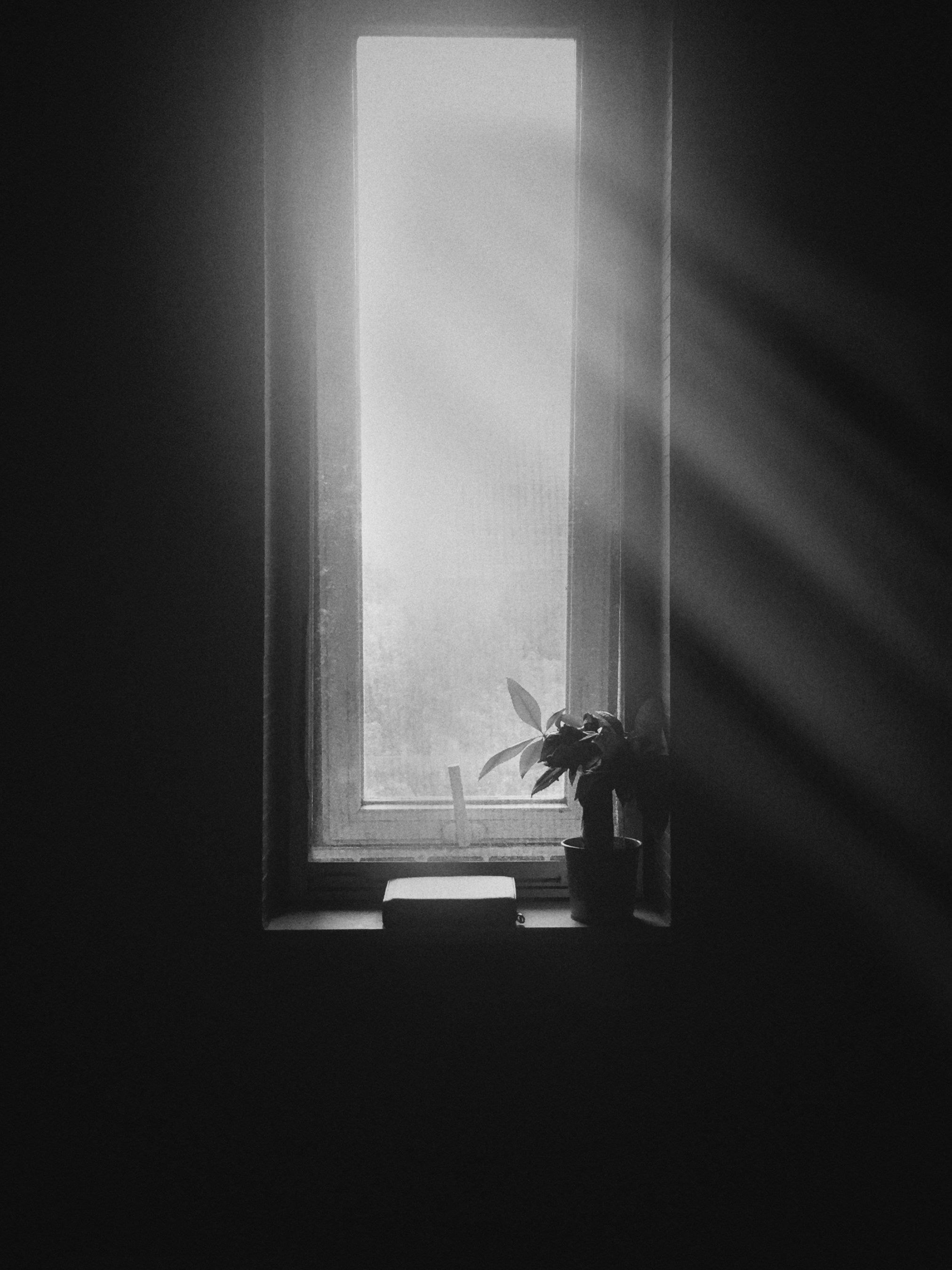 Depression 대표 이미지