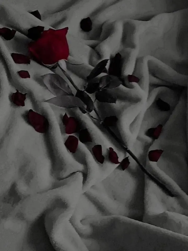 yuwol_Sora의 Club AU) Miss, are you taken?