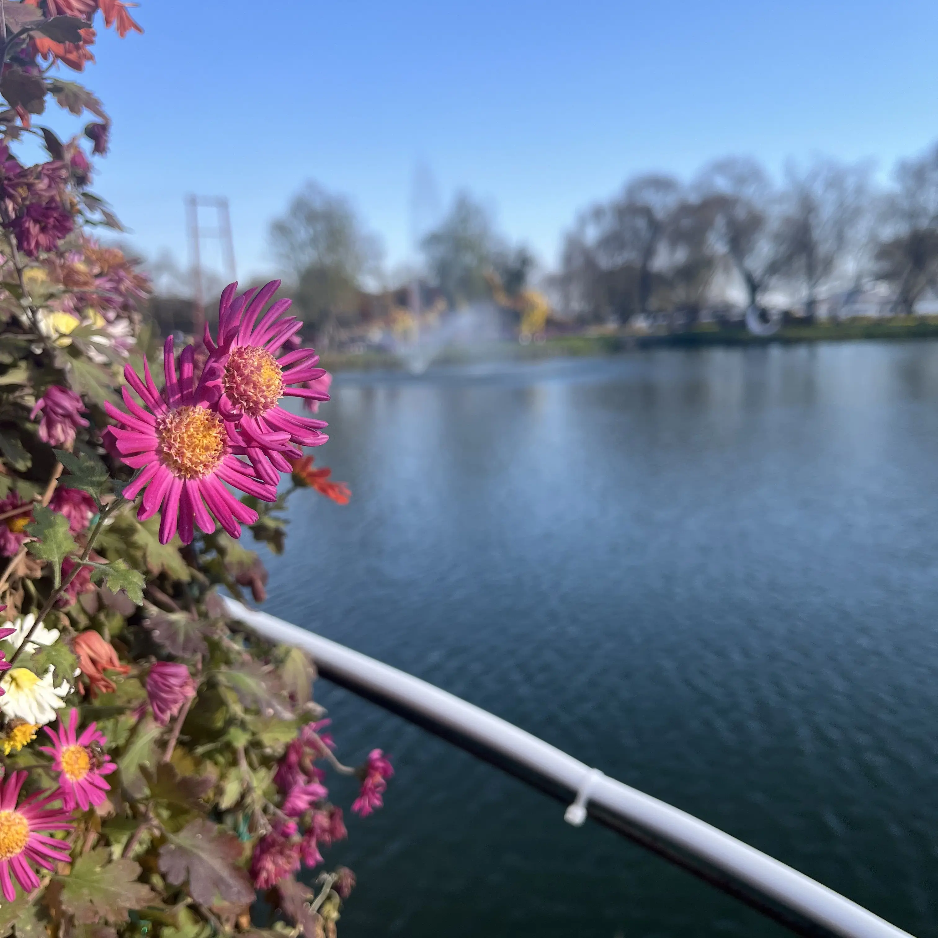 PrimalFund3368의 학교 최고의 인기남들의 짝사랑 상대