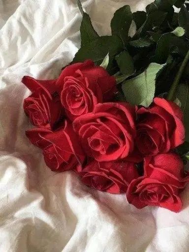 kim_mayong의 식인 드래곤