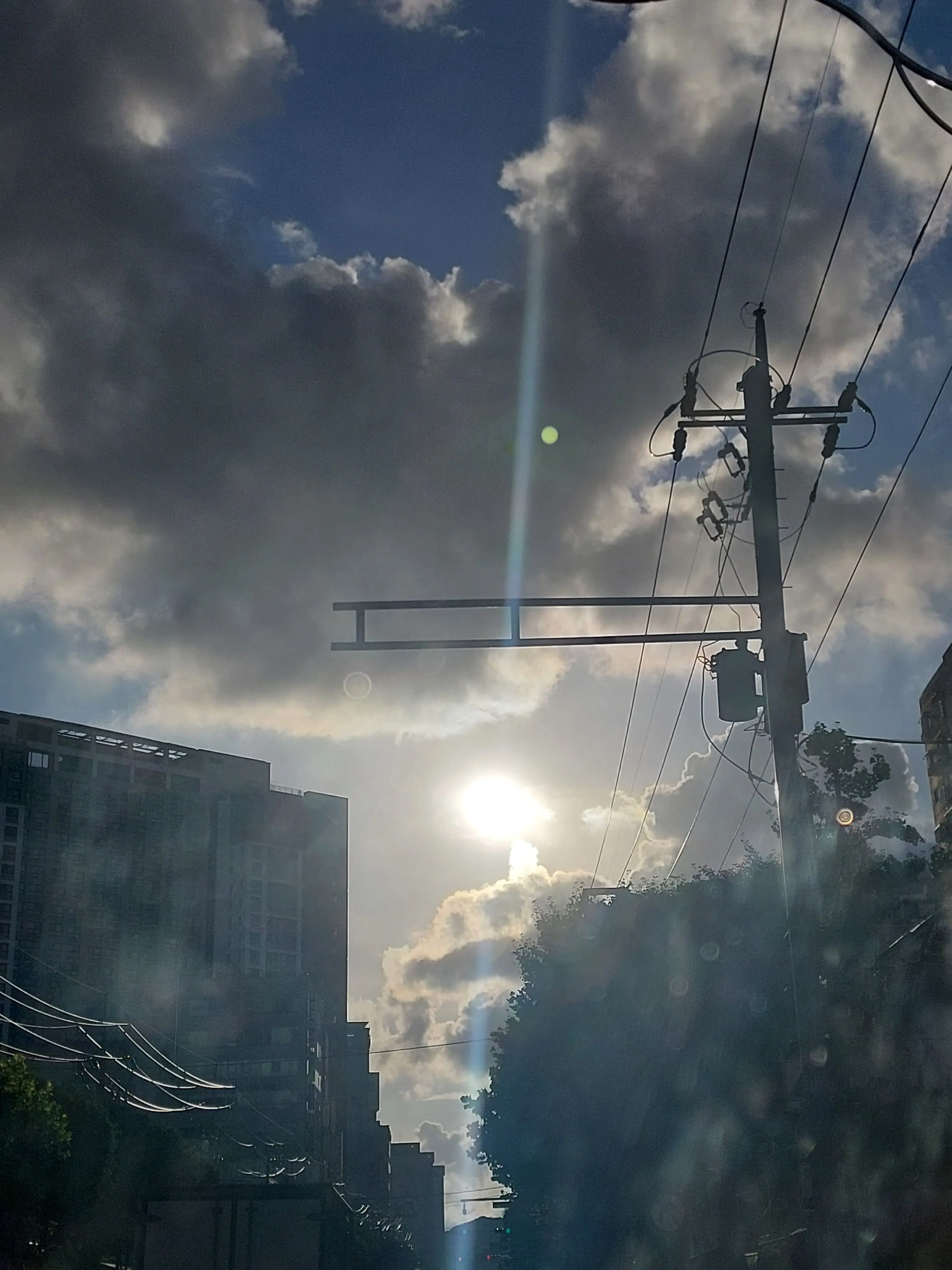 _Frog.Twist-의 "가동중 오류가 났습니다-"