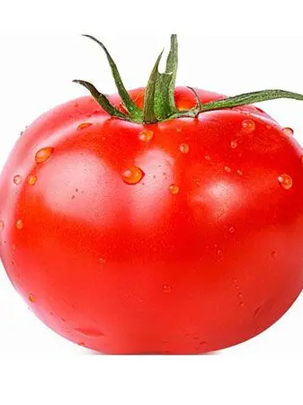 ScaredMouse8632의 (?) The One and Only Delicious Tomato (?)