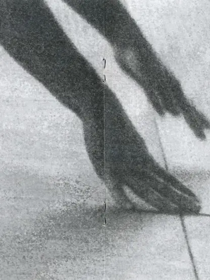 tallyou의 손길을 내어 주세요