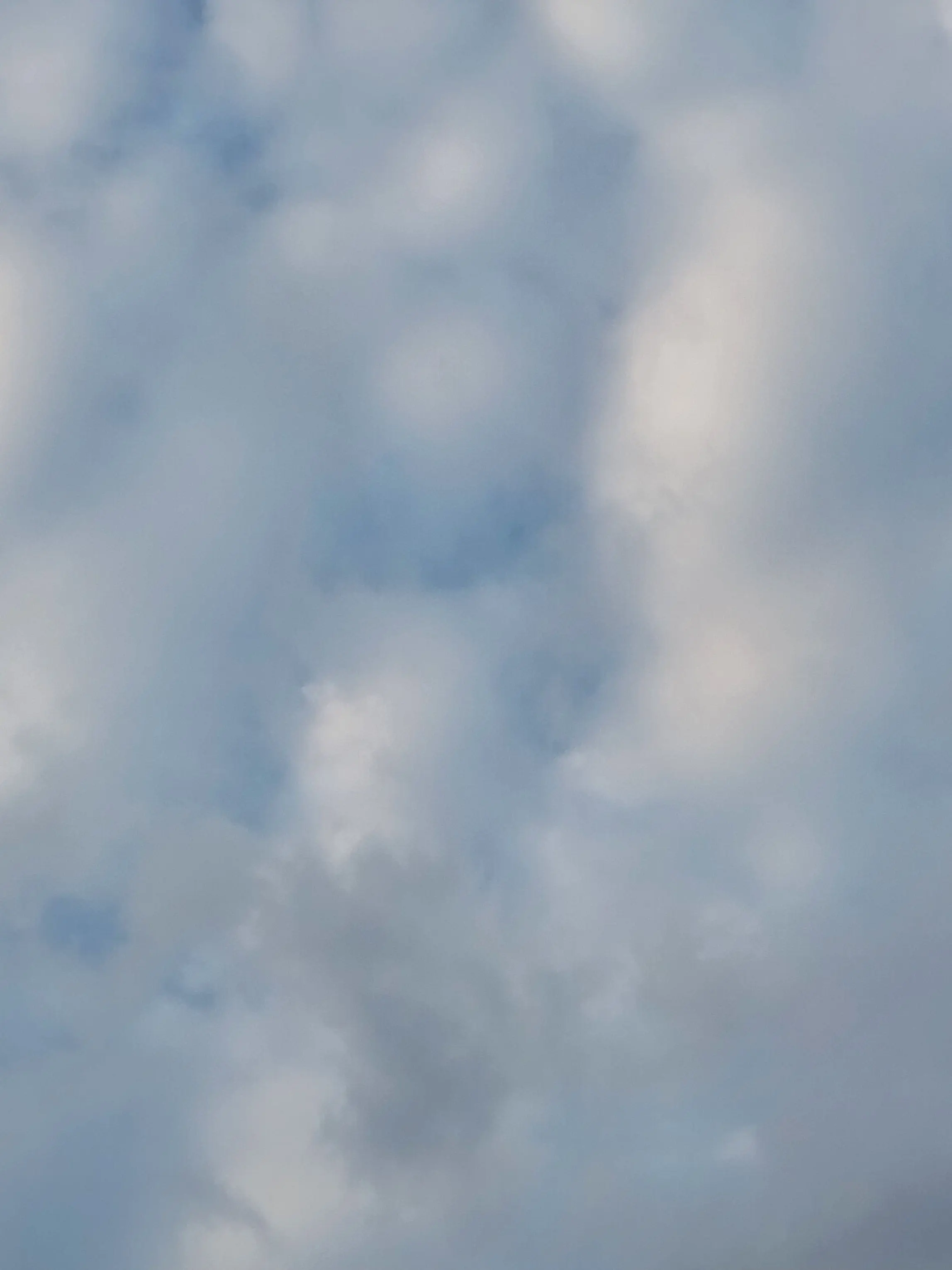 BrutalPolar4640의 미수반,당신은버츄얼유튜버+미수반멤버