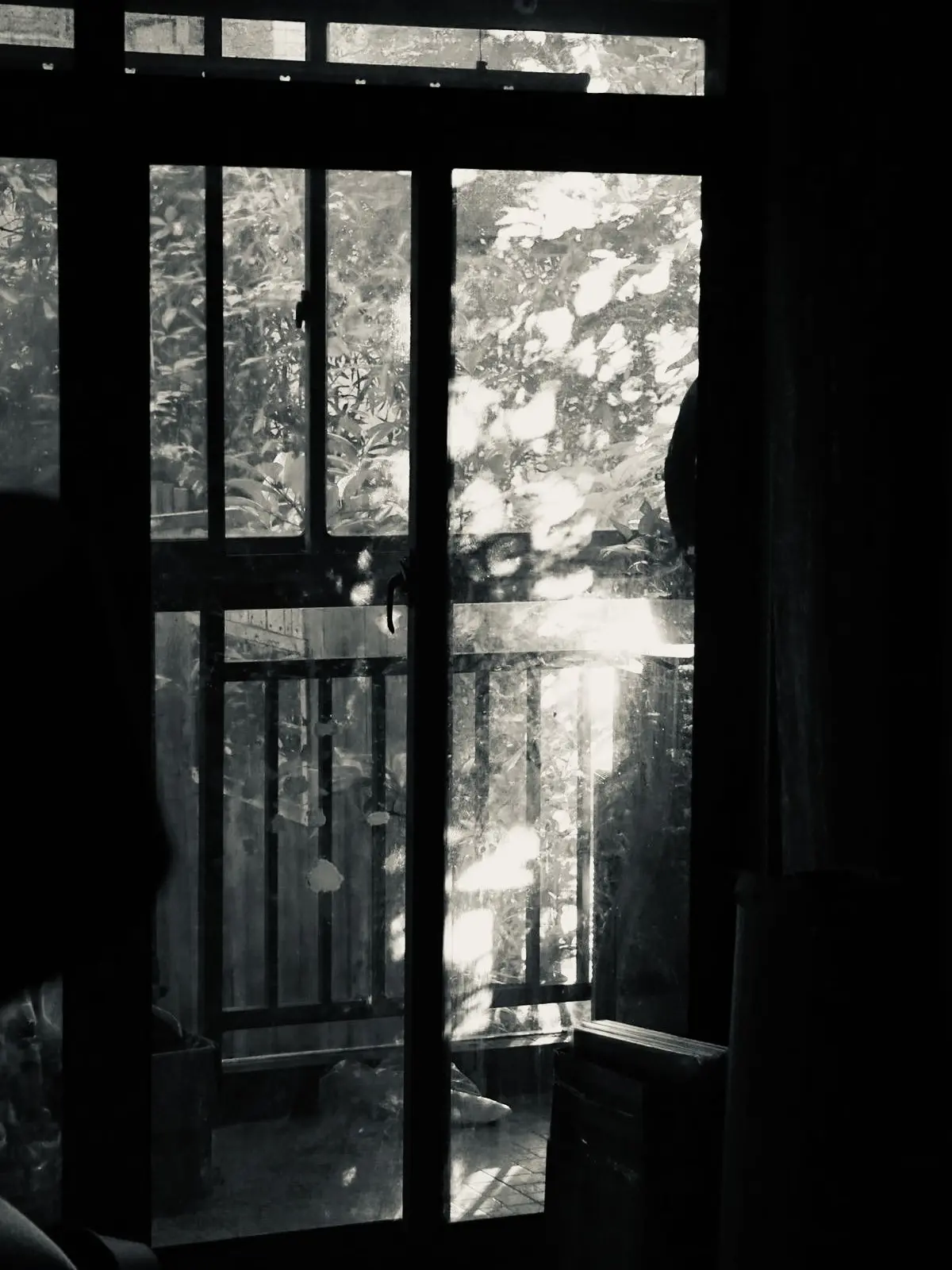 moti111111의 見てたんだよ。