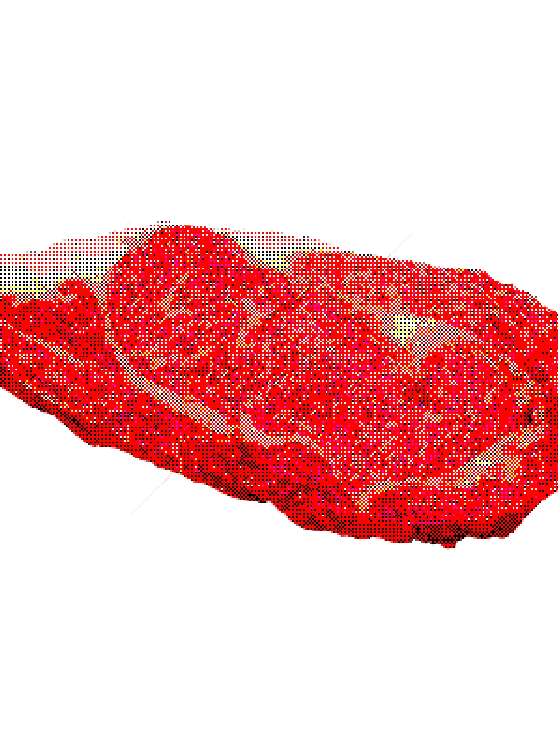 meat_0100의 meat. 001