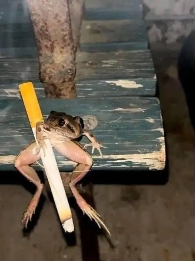 GlassJuicy9400의 A strange question