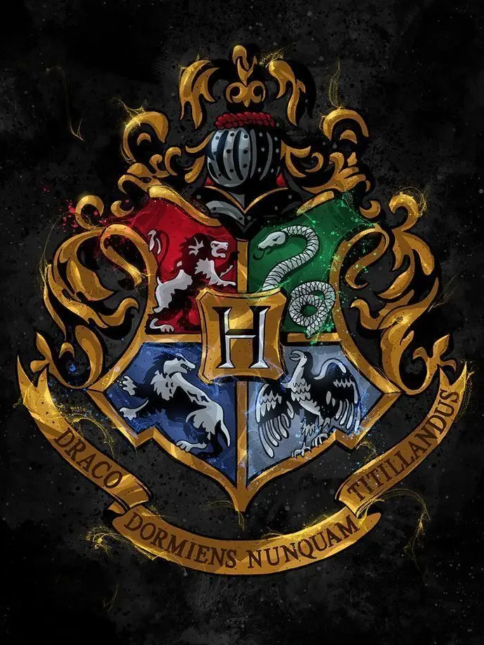 SpongyFlea1697의 Harry patter