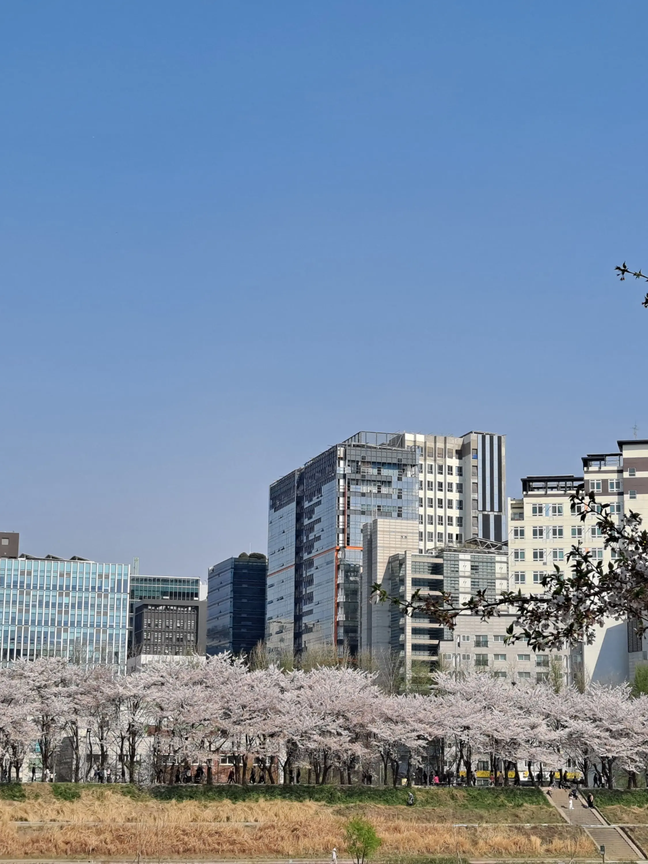 kiru611의 1부터10까지 이상한 춘향전..?!