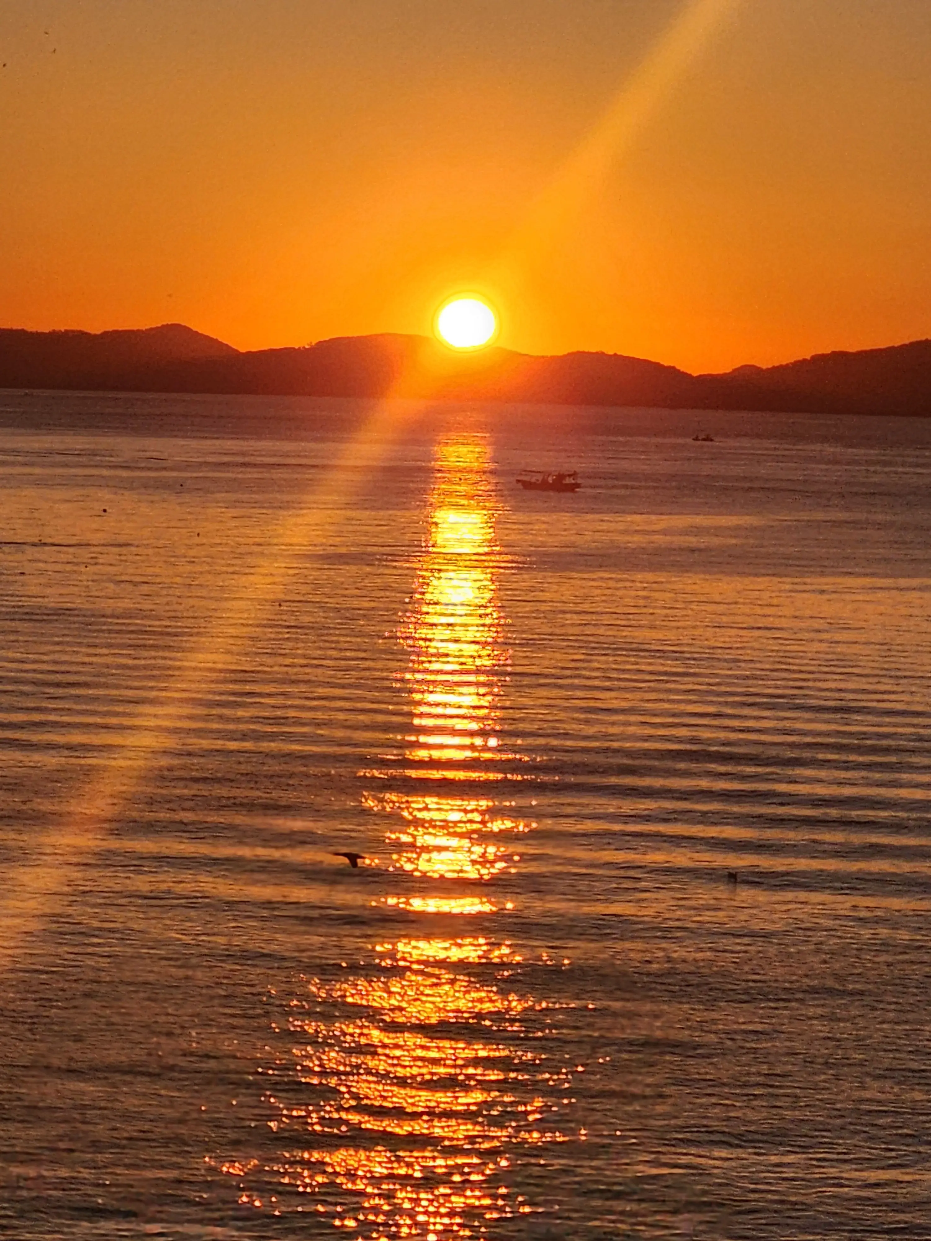 Tteul-yu의 리레볼루션 - ???